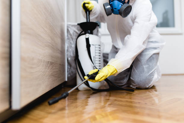 Best Bed Bug Extermination  in Hudson Falls, NY