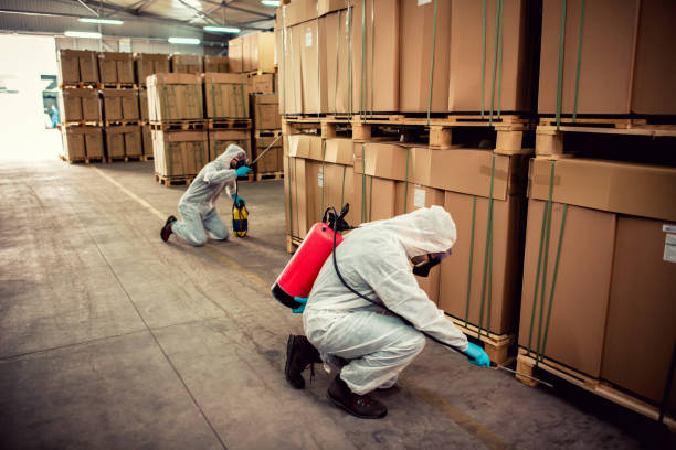 Best Local Pest Control Services  in Hudson Falls, NY