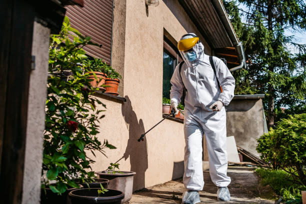 Best Insect Control  in Hudson Falls, NY