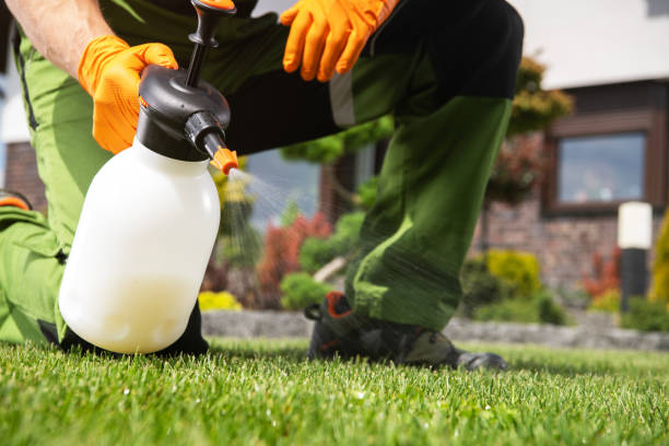 Best Insect Control  in Hudson Falls, NY