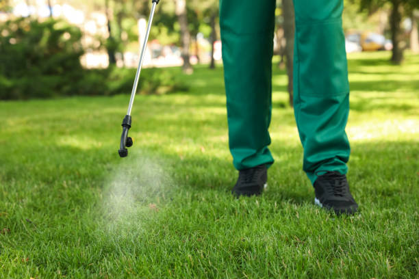 Best Best Pest Control Companies  in Hudson Falls, NY