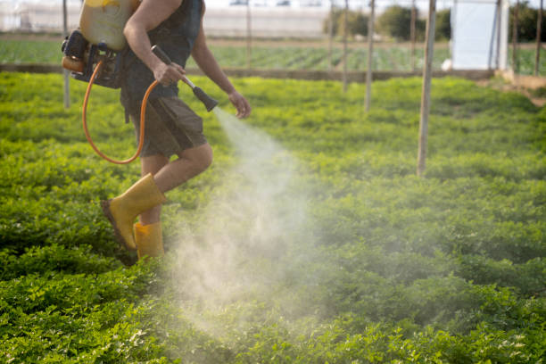 Best Mosquito Control Services  in Hudson Falls, NY