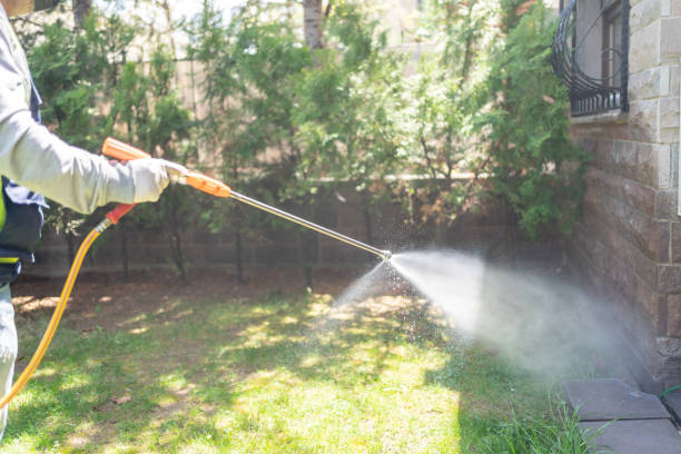 Best Pest Inspection Near Me  in Hudson Falls, NY