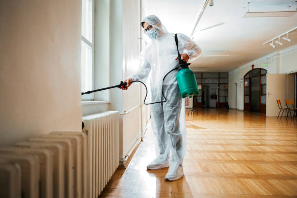 Best Affordable Pest Control Services  in Hudson Falls, NY